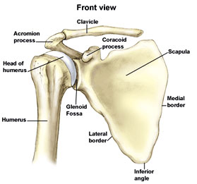 What Is Frozen Shoulder? - Gordon Lundy Md